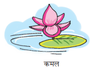 Choice image