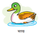 Choice image