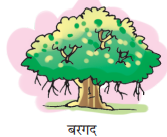 Choice image