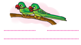 Choice image