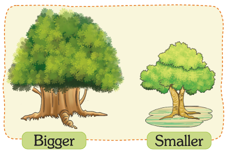 Choice image