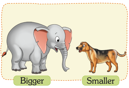 Choice image