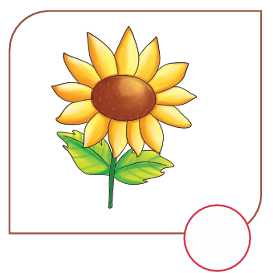 Choice image