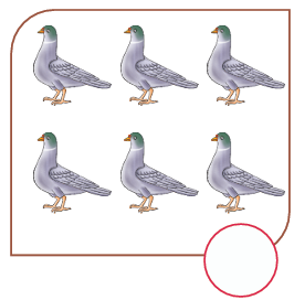Choice image