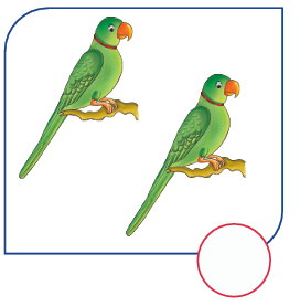 Choice image